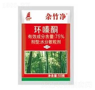 75%�h(hu��n)�ͪ��50�ˣ�