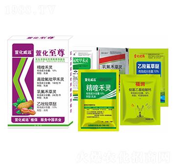 ����������ó��݄��M