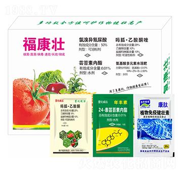 ������-�滯���h