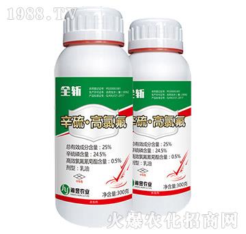 25%���򡤸��ȷ�-ȫ��-���