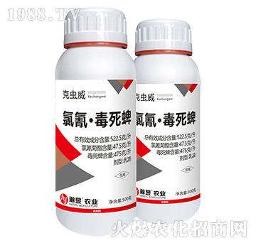 ���衤������-���x��-���