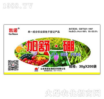 ���桤��-�P�Z����