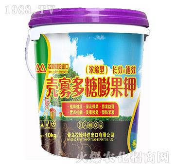 ���Ѷ�������-��ķ�؝�(r��n)