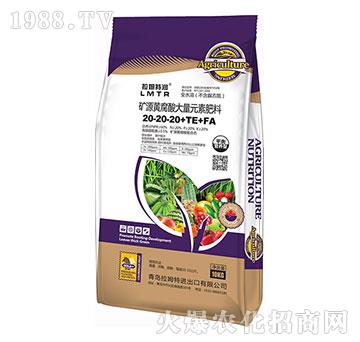 ƽ��I�B(y��ng)�͵VԴ�S�������Ԫ�ط���20-20-20+TE+FA-��ķ�؝�