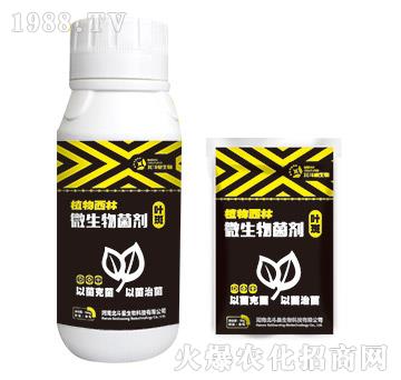 �~�ߌ���΢�������-ֲ������-������