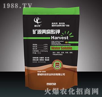 �VԴ�S����⛣�500g��-��(chu��ng)�|�z