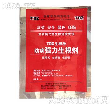 ��������������-� ���