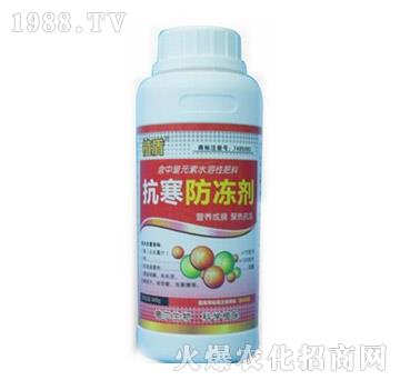 ����������-ֲ��-� �