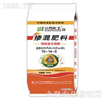 ������LЧ�������19