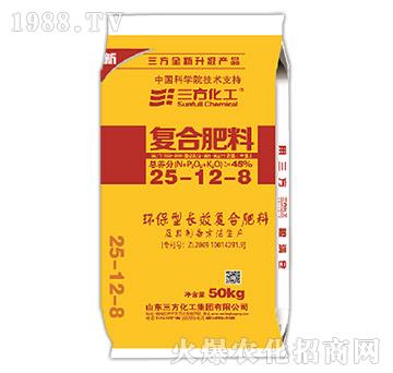 �LЧ�ʏ�(f��)�Ϸ���25-1