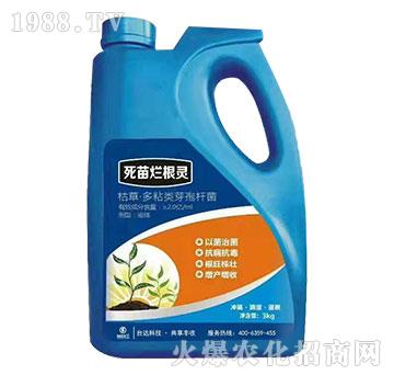 ���砀���`-�_�_