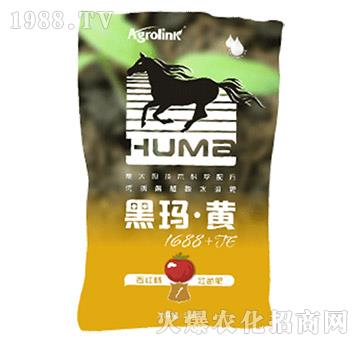 ���t������ˮ�ܷ�-�ڬ����S1688+TE-�S(li��n)�r(n��ng)�I(y��)