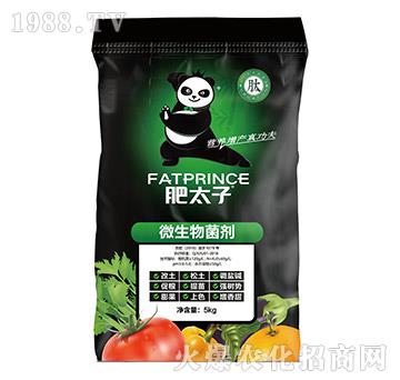 ΢�������-��̫��