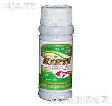 ��ѿ�`-��Ӎ-���S��