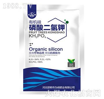 500g�ЙC���������