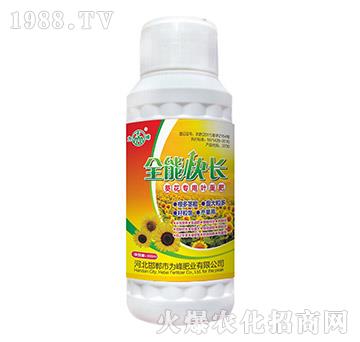 ���������~���-ȫ�ܿ��L-���