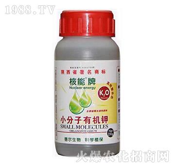 ������С�����ЙC�-��