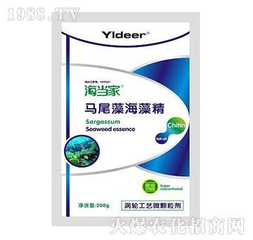 �Rβ�庣�徫-������-