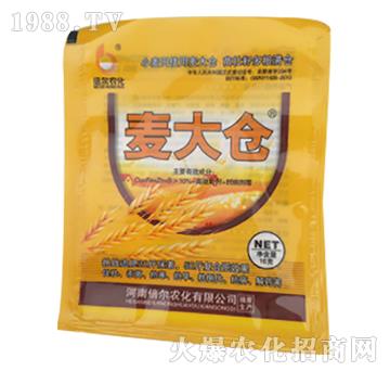 ����}(c��ng)-����