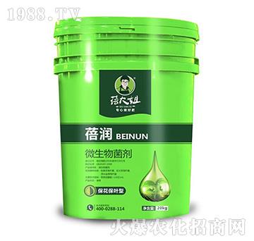 �������~��΢�������-�흙-�����