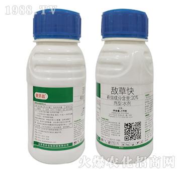 20%���ݿ�-������(zh��n)-�|������