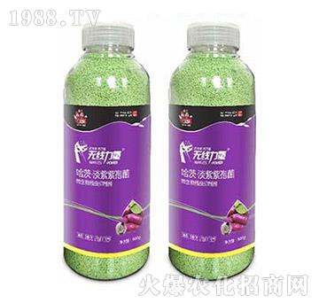 �o������-�����-���A����