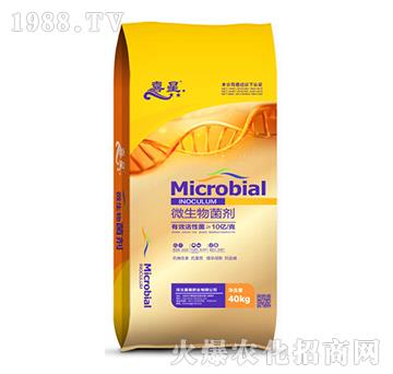 ΢�������-ϲ��