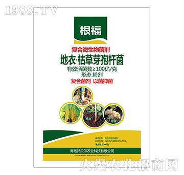 ���¿ݲ�ѿ�ߗU��-��(f��)��΢�������-����-��ؐ��