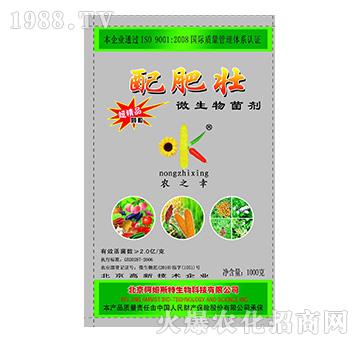 ΢�������-��ʉ�-��ķ˹