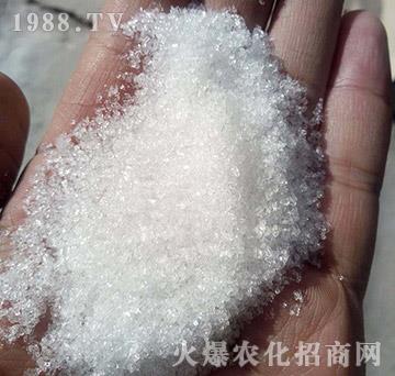 99%�����V-�������Q