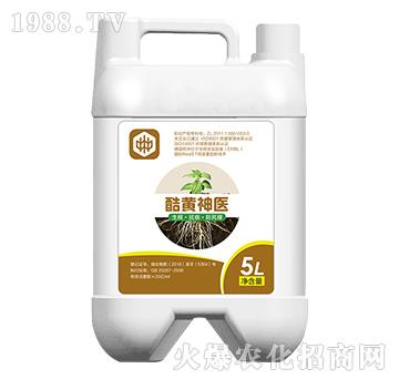 ���S���t(y��)�������������ã�-��ֲ(li��n)��