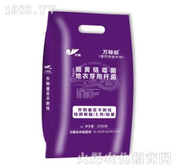 �ز������(zhu��n)�÷�-�f(w��n)����-Ǭ�r(n��ng)