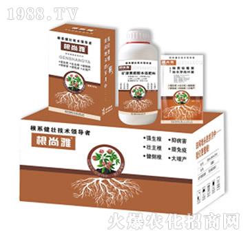 ������-Ǭ�r