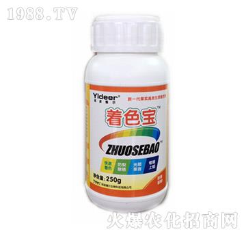 ��ɫ��-� �����