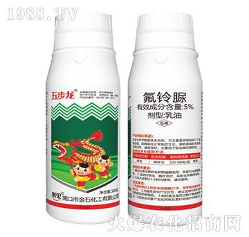 5%�����-�岽��-��ʯ����