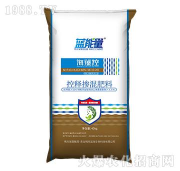 ��ጓ������-����أ�