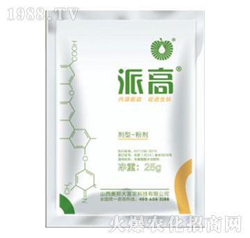 �ɸ�-����Ƽ�