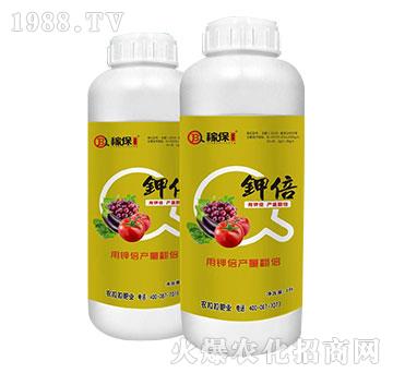 ⛱�-�ڱ�����-�{�����H