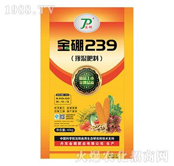 �������29-13-12-����239-����