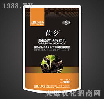 �S����⛾���Ƭ-���l(xi��ng)-���_��