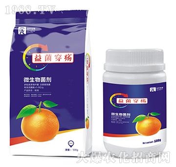 ΢�������-�������-��������