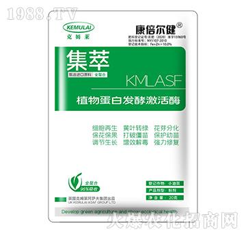 ֲ�ﵰ�װl(f��)�ͼ���ø-��������-��ķ�R