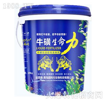 ����������-�@��Ԫ