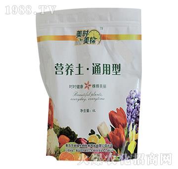 ͨ���͠I(y��ng)�B(y��ng)��-���r(sh��)����-��ؾ�����