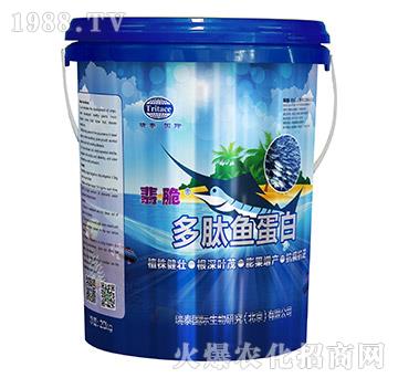 �����~����-���-��̩��(gu��)�H