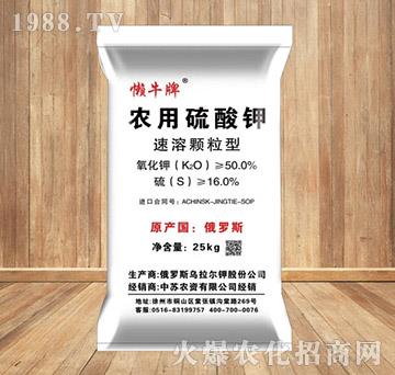 �����w���͑�ţ�����-���K�r�Y