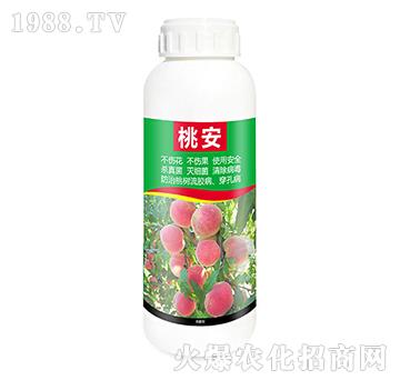 �Ұ�-��Դ����