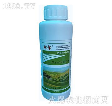 240��ÿ������������-����-�\ʢ����