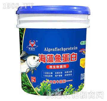 微生物菌劑-海藻魚蛋白-開墾牛