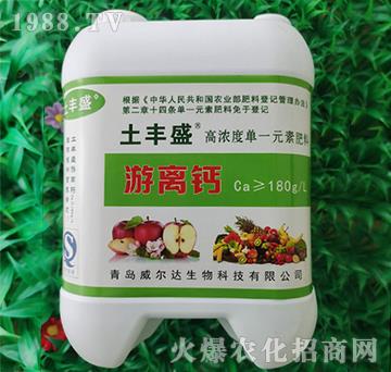 ���x�}-���Sʢ-�����_